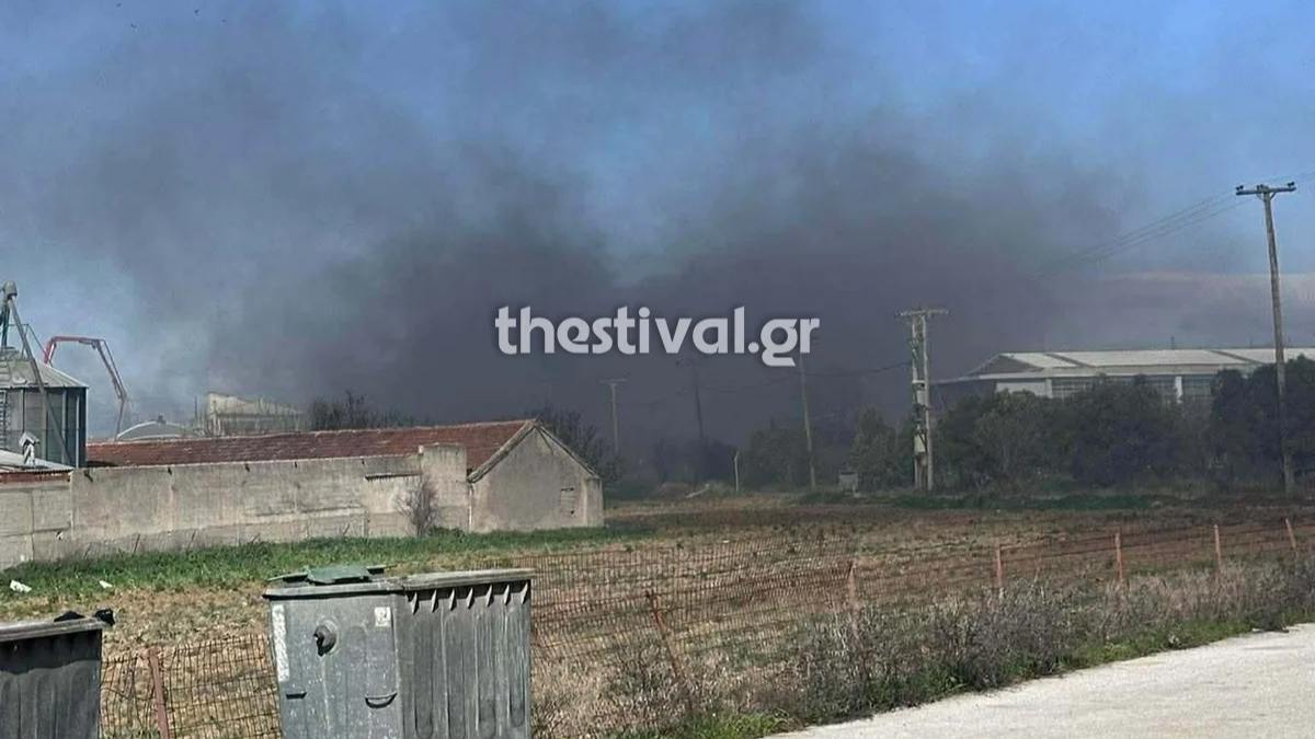 Θεσσαλονίκη: Σε εξέλιξη η πυρκαγιά σε βιοτεχνία στα Διαβατά – Τραυματίστηκε ένας πυροσβέστης (βίντεο+φωτογραφίες)