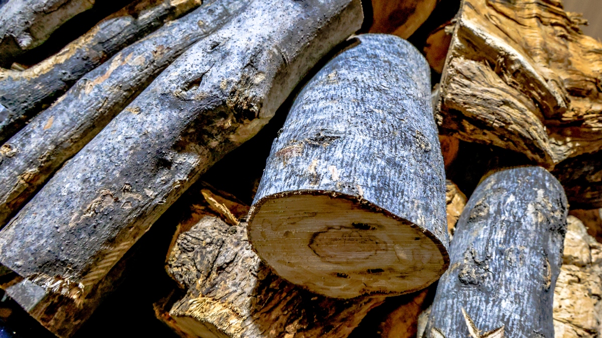 Επίδομα θέρμανσης: Πότε θα πληρωθεί η δεύτερη δόση – Ποια είναι τα ποσά