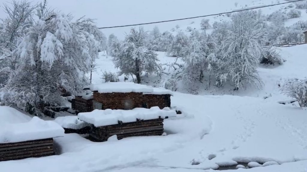 Κακοκαιρία: Πυκνές χιονοπτώσεις σε Κοζάνη, Γρεβενά, Καστοριά και Φλώρινα – Ποια σημεία του οδικού δικτύου χρειάζονται αλυσίδες (Βίντεο)