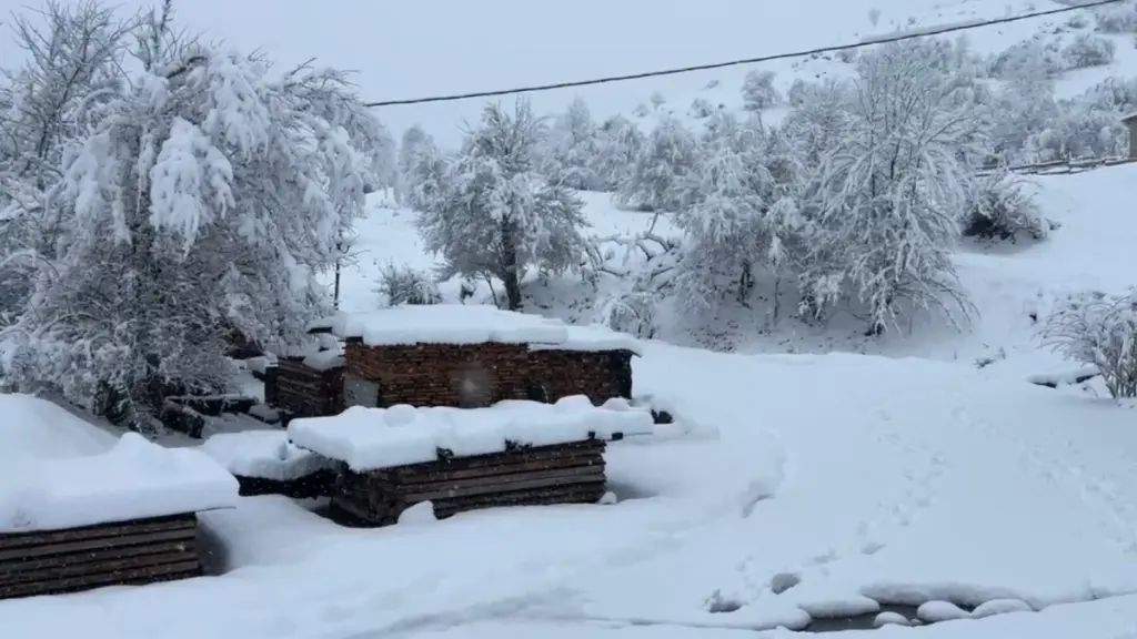 Κακοκαιρία: Πυκνές χιονοπτώσεις σε Κοζάνη, Γρεβενά, Καστοριά και Φλώρινα – Ποια σημεία του οδικού δικτύου χρειάζονται αλυσίδες (Βίντεο)