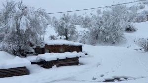 Κακοκαιρία: Πυκνές χιονοπτώσεις σε Κοζάνη, Γρεβενά, Καστοριά και Φλώρινα – Ποια σημεία του οδικού δικτύου χρειάζονται αλυσίδες (Βίντεο)