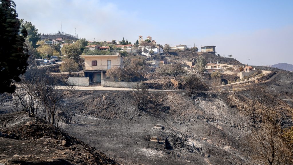 Άνοιξε η πλατφόρμα για ενίσχυση επιχειρήσεων στη Χίο που επλήγησαν από τις φωτιές του 2025