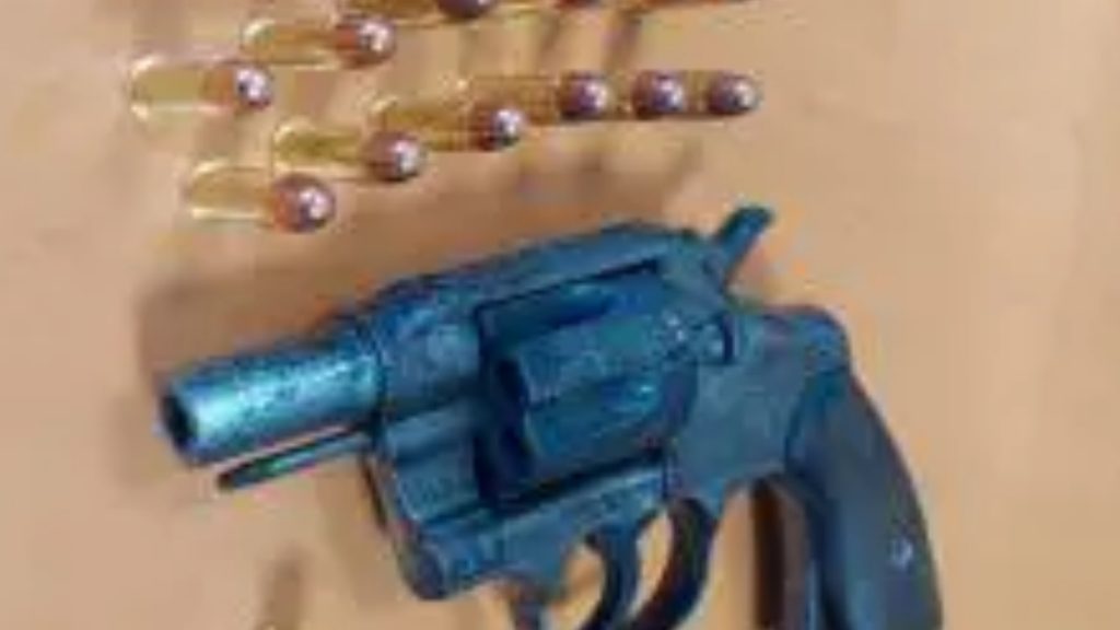 Ζεφύρι: Συνελήφθη 31χρονος – Πυροβολούσε στον αέρα με περίστροφο