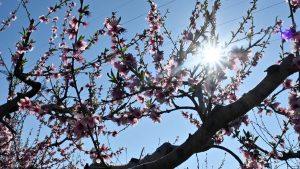 Ανοιξιάτικος καιρός με αραιές νεφώσεις σήμερα – Έως 20 βαθμούς η θερμοκρασία