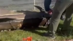 Το Ιράν αρνείται ότι εκτόξευσε πύραυλο εναντίον της Τουρκίας – “Σεβόμαστε την εθνική της κυριαρχία”