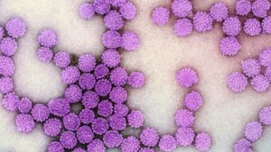 HPV: Ένα εμβόλιο που μας προστατεύει από 10 καρκίνους