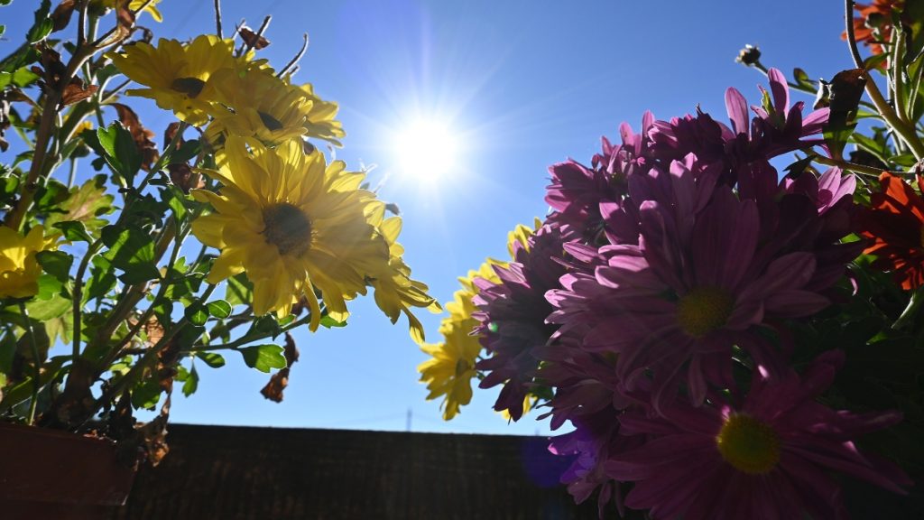 Καιρός σήμερα: Λιακάδα με λίγη συννεφιά – Πού μπορεί να βρέξει