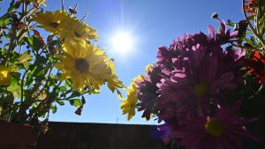 Καιρός σήμερα: Λιακάδα με λίγη συννεφιά – Πού μπορεί να βρέξει