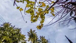 Καιρός σήμερα: Νεφώσεις και τοπικές βροχές – Έως 18 βαθμούς η θερμοκρασία