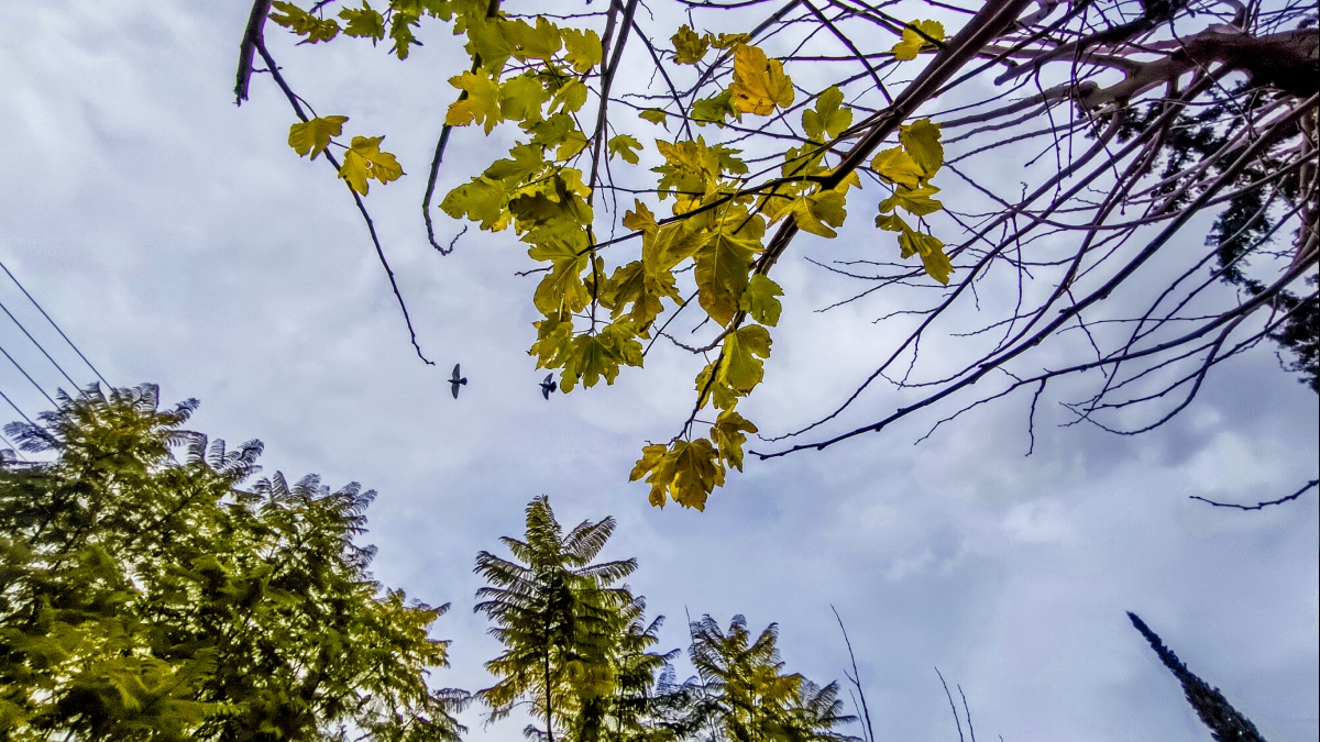 Καιρός σήμερα: Νεφώσεις και τοπικές βροχές – Έως 18 βαθμούς η θερμοκρασία