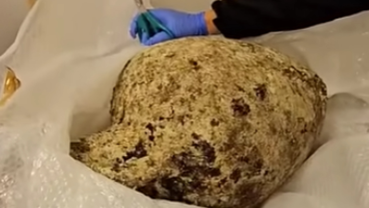 Νέες περιπέτειες για γνωστό επιχειρηματία: Από την καταδίκη για ενδοοικογενειακή βία στη σύλληψη για αρχαιοκαπηλία