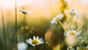 Εαρινή ισημερία 2026: Η ημέρα που η νύχτα ισορροπεί – Το φαινόμενο εξηγείται απλά