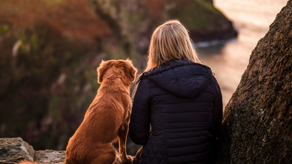 Οι σκύλοι ζουν μαζί με τους ανθρώπους εδώ και τουλάχιστον 14.200 χρόνια
