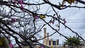 Σχεδόν αίθριος ο καιρός σήμερα με ήλιο και λίγη συννεφιά – Πού αναμένονται τοπικές βροχές