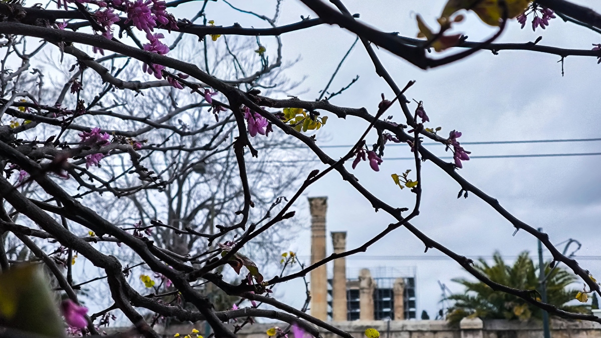 Σχεδόν αίθριος ο καιρός σήμερα με ήλιο και λίγη συννεφιά – Πού αναμένονται τοπικές βροχές