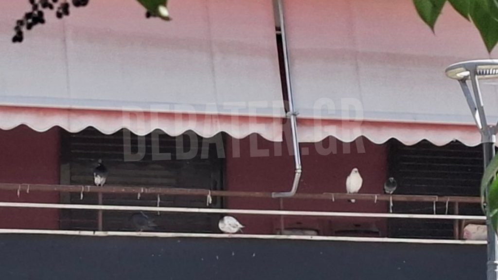 Ζωγράφου: “Πέθαναν μόνες τους” λέει ο 54χρονος για τη μάνα και την αδελφή του – Εντολή εισαγγελέα να συλληφθεί