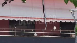 Ζωγράφου: “Πέθαναν μόνες τους” λέει ο 54χρονος για τη μάνα και την αδελφή του – Εντολή εισαγγελέα να συλληφθεί