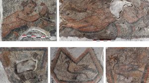 Δρομολογείται η αποκατάσταση και η ανάδειξη ρωμαϊκής έπαυλης στο Αμύνταιο της Φλώρινας