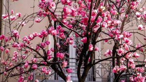 Καιρός αύριο: Συνεχίζεται το ανοιξιάτικο σκηνικό – Στους 19 βαθμούς η θερμοκρασία