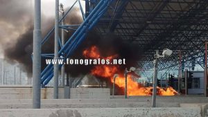 Φθιώτιδα: Τρόμος στα διόδια της Τραγάνας – Αυτοκίνητο τυλίχθηκε στις φλόγες