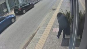 Αμαλιάδα: Αγανάκτηση με τις κλοπές φυτών – Πολίτες αναρτούν προειδοποιητικές πινακίδες (βίντεο+φωτογραφία)