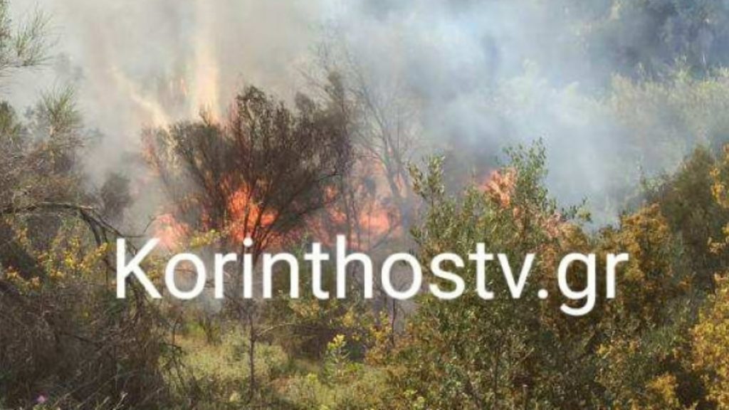 Πυρκαγιά στο Σούλι Κορινθίας – Καίει δασική έκταση
