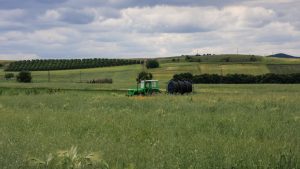 Έως 30 Απριλίου η προθεσμία για 6 υποδράσεις του Ταμείου Ανάκαμψης και Ανθεκτικότητας