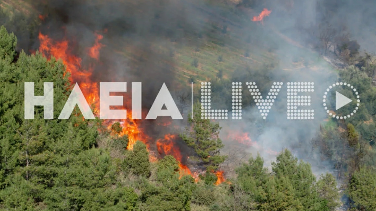 Φωτιά σε δασική έκταση στα Βυτιναίικα Πύργου Ηλείας – Επιχειρεί και 1 αεροσκάφος (Φωτογραφίες)