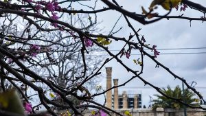 Καιρός: Βροχές και καταιγίδες ανήμερα της 25ης Μαρτίου – Ποιες περιοχές θα βρεθούν στο επίκεντρο