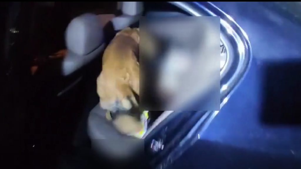 Κιλκίς: Η Iris «μύρισε» μισό κιλό ηρωίνης – Δύο συλλήψεις (Βίντεο)