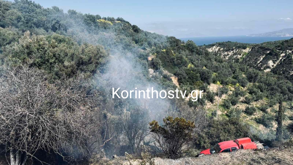 Υπό έλεγχο η πυρκαγιά στο Σούλι Κορινθίας