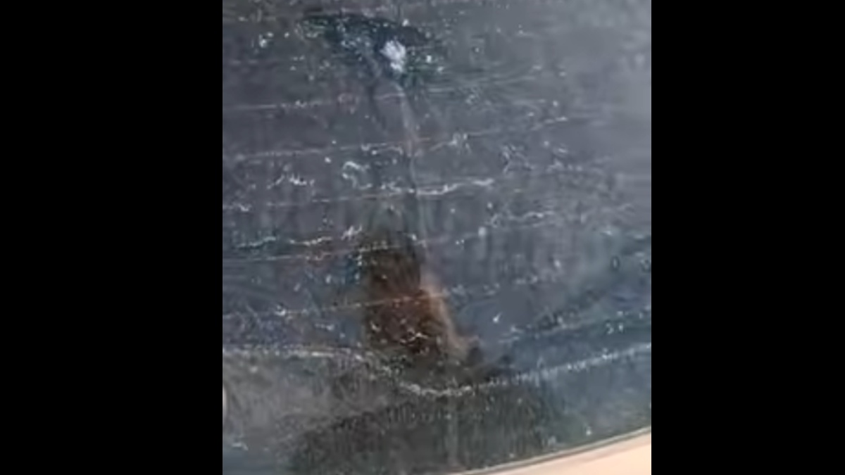 Αγανάκτηση από κάτοικο της Κορίνθου: «Όλη την ώρα μου σπάνε το αυτοκίνητο» (βίντεο)