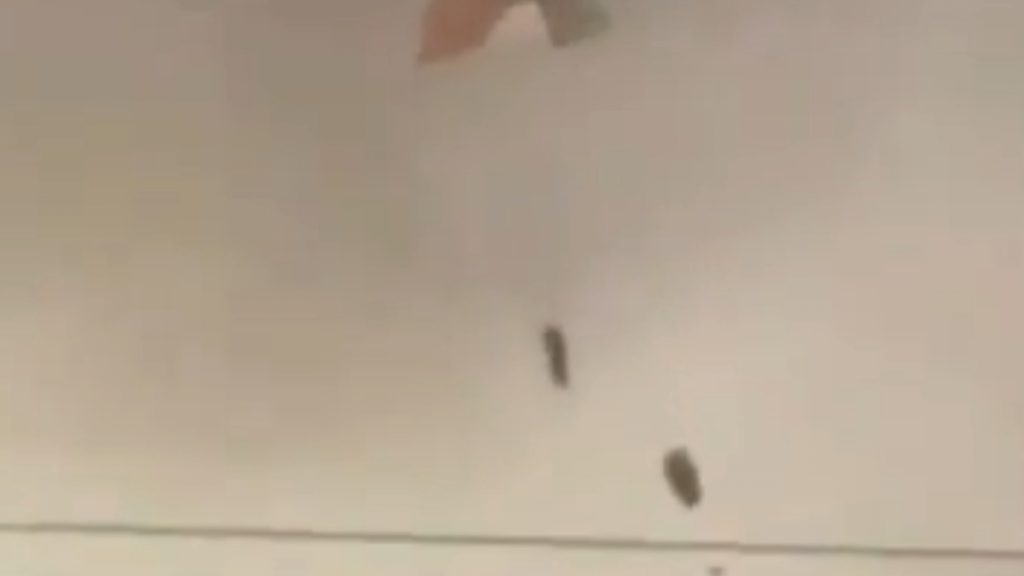 Κουβέιτ: Συνετρίβησαν “αρκετά” αμερικανικά μαχητικά – Η πρεσβεία των ΗΠΑ κάλεσε το προσωπικό της να βρει καταφύγιο