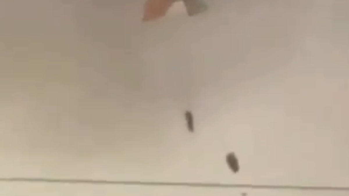 Κουβέιτ: Συνετρίβησαν “αρκετά” αμερικανικά μαχητικά – Η πρεσβεία των ΗΠΑ κάλεσε το προσωπικό της να βρει καταφύγιο