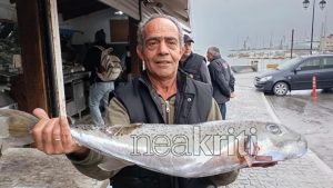 Ηράκλειο: Ψαράδες έπιασαν λαγοκέφαλο 8 κιλών – Ανησυχία για την παρουσία του τοξικού ψαριού στην Κρήτη (φωτογραφίες)