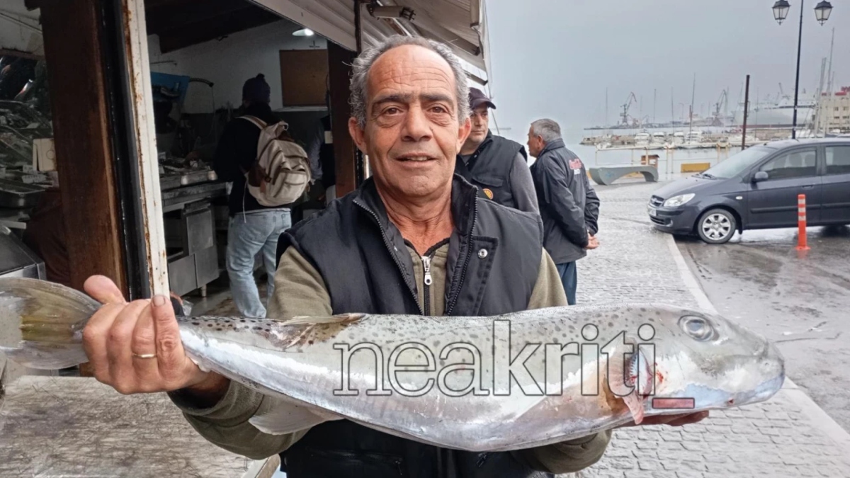Ηράκλειο: Ψαράδες έπιασαν λαγοκέφαλο 8 κιλών – Ανησυχία για την παρουσία του τοξικού ψαριού στην Κρήτη (φωτογραφίες)