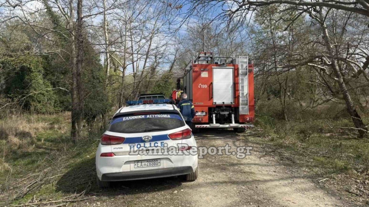 Ανείπωτη τραγωδία στη Λαμία: Νεκρός 68χρονος άνδρας που καταπλακώθηκε από δέντρο