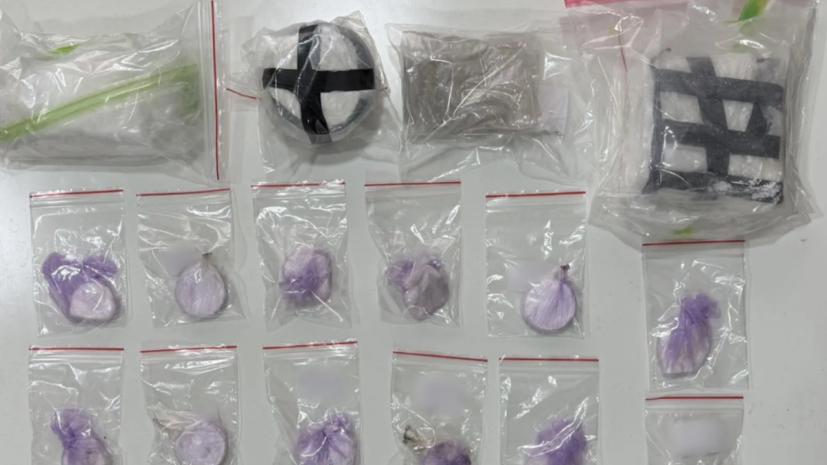 Δύο συλλήψεις στην Λαμία – Κατασχέθηκαν πλήθος ναρκωτικών, όπλα και ποσό άνω των 6.000 ευρώ (εικόνες)