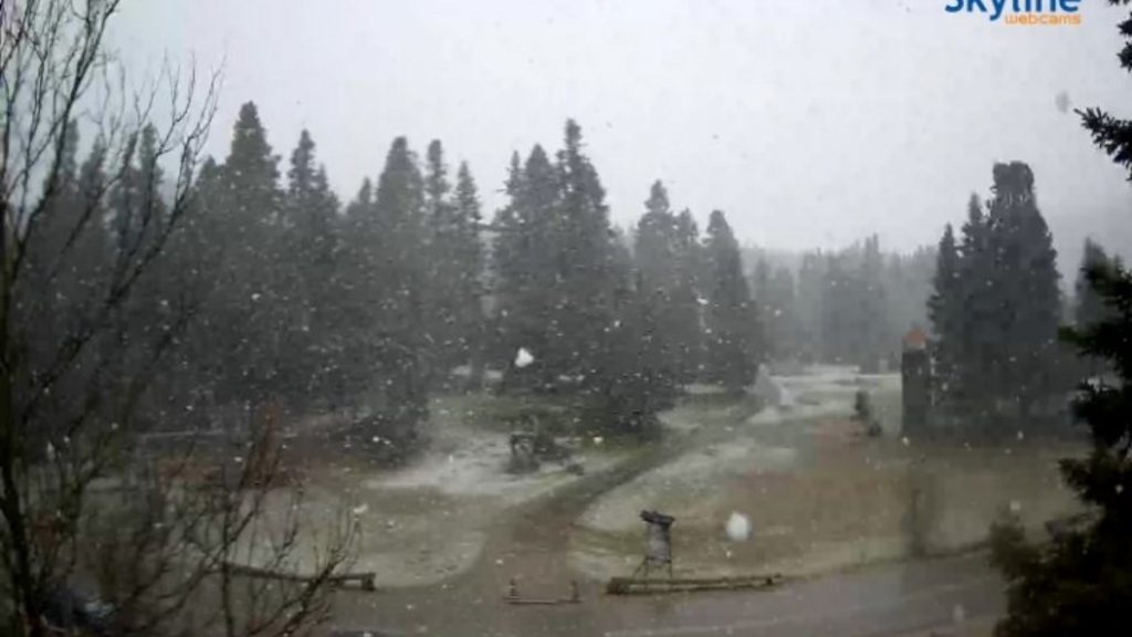 “Ανοιξιάτικο” χιόνι σε περιοχές της Λαμίας – Ντύθηκε στα λευκά η κεντρική Ελλάδα (βίντεο + εικόνα)