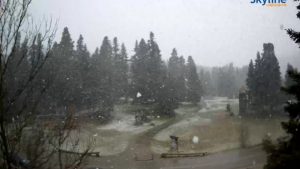 “Ανοιξιάτικο” χιόνι σε περιοχές της Λαμίας – Ντύθηκε στα λευκά η κεντρική Ελλάδα (βίντεο + εικόνα)