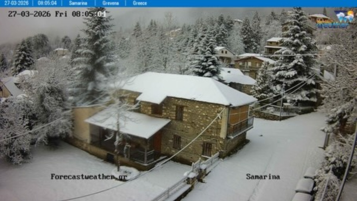 Το έστρωσε τον Μάρτιο: Στα λευκά ντύθηκαν περιοχές της Ηπείρου, χαλαζόπτωση στην Κέρκυρα – Δείτε βίντεο