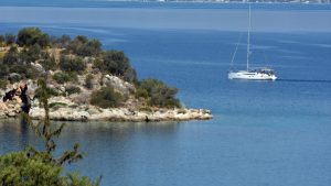 Τραγωδία στο Ναύπλιο: Νεκρός 46χρονος αναρριχητής μετά από τσίμπημα μέλισσας