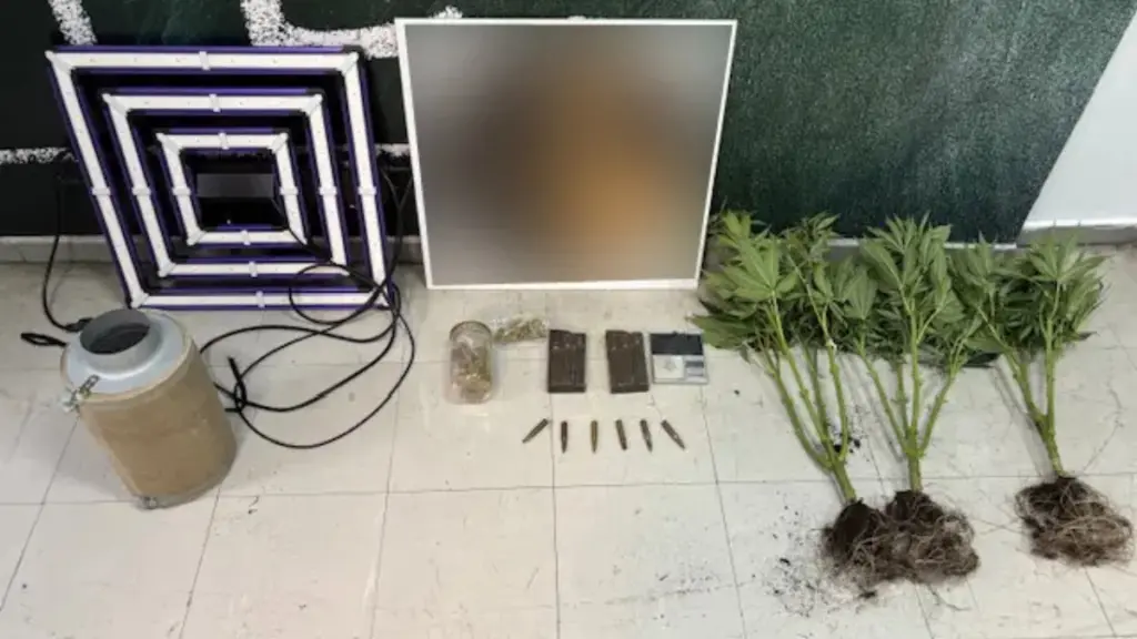 Νίκαια: Συνελήφθη 48χρονος που καλλιεργούσε δενδρύλλια κάνναβης