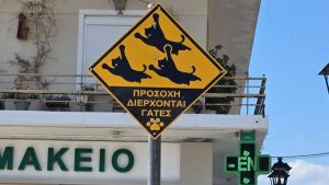 Σαλαμίνα: Η διαφορετική πινακίδα με το μήνυμα ευαισθητοποίησης για τα αδέσποτα
