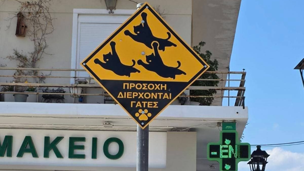 Σαλαμίνα: Η διαφορετική πινακίδα με το μήνυμα ευαισθητοποίησης για τα αδέσποτα