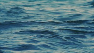 Έλληνες ερευνητές διαπίστωσαν σταδιακή μείωση της εκροής των νερών της Μαύρης Θάλασσας προς το Αιγαίο 