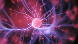 Δίαιτα Mind: Οι 10 τροφές που προστατεύουν το μυαλό και τον εγκέφαλο