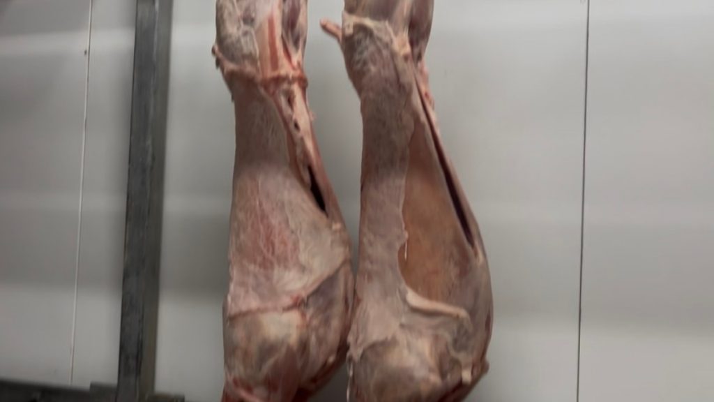 Πάσχα 2026: Στα 15-20 ευρώ το κιλό το αρνί – “Προσπαθούμε να κρατήσουμε την τιμή σταθερή”