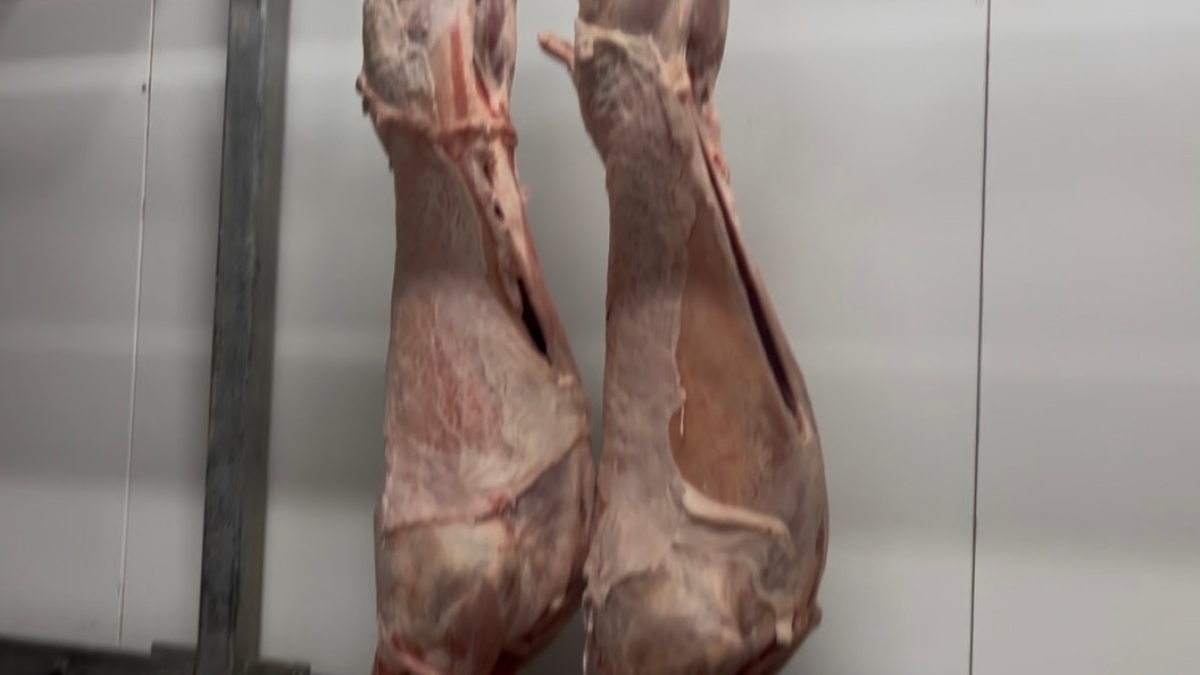 Πάσχα 2026: Στα 15-20 ευρώ το κιλό το αρνί – “Προσπαθούμε να κρατήσουμε την τιμή σταθερή”