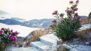 Ίος: Πολυδιάστατος προορισμός που εκσυγχρονίζει τις υποδομές του